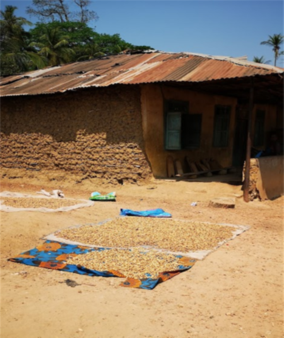 Misjonsprosjektet vårt - Kopi